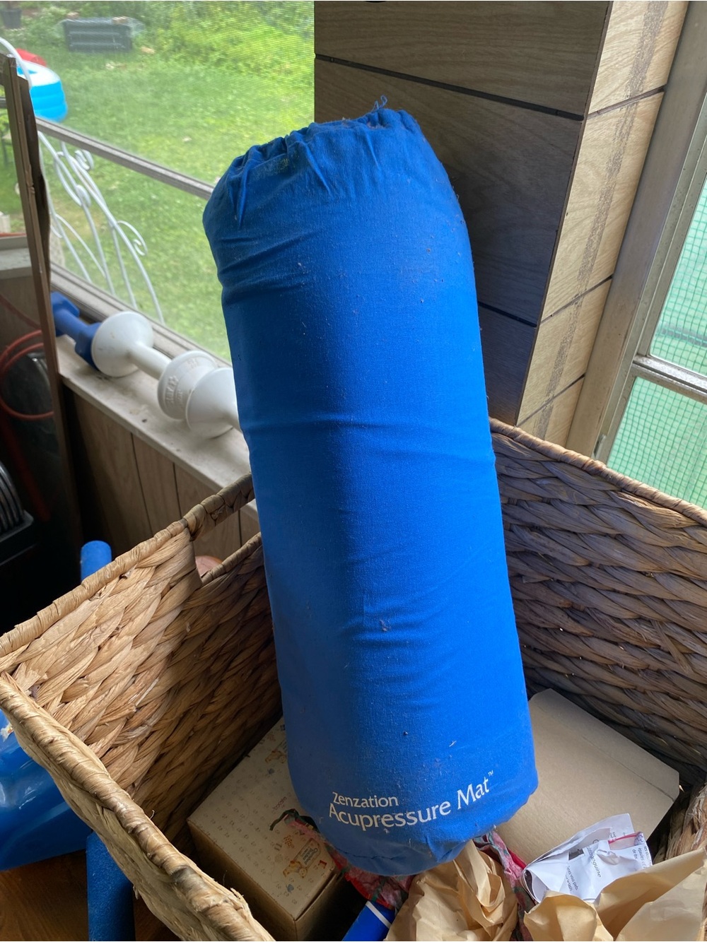Zenzation Athletics Accupressure Mat with pillow.